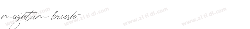 mightam brush字体转换